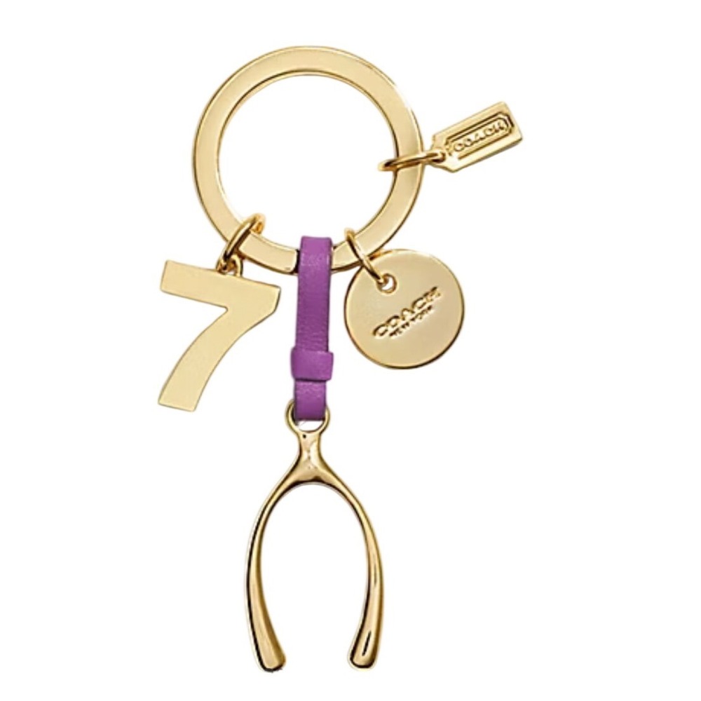 Vintage Coach‎ Lucky Mix Key Ring Key Chain Purse Bag Charm NWOT